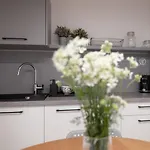 Apartment Mlynska 5 *