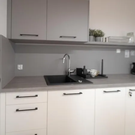 Apartament Mlynska 5 *