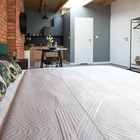 Mlynska 5 Apartament