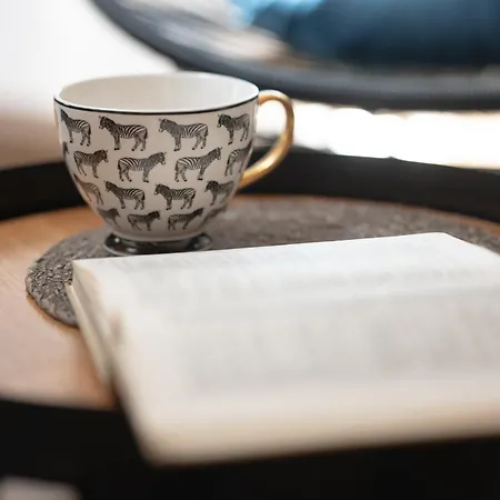 Mlynska 5 Lejlighed Bielsko-Biała