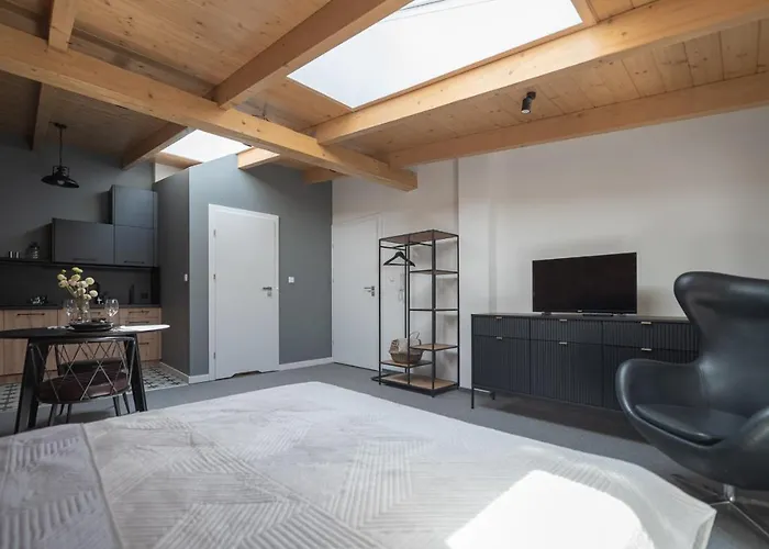 Lejlighed Mlynska 5 Bielsko-Biała