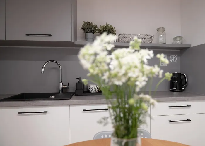 Lejlighed Mlynska 5 *